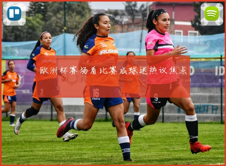 欧洲杯赛场看比赛成球迷热议焦点